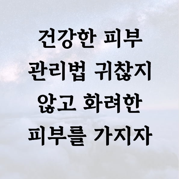 건강한 피부 관리법 귀찮지 않고 화려한 피부를 가지자