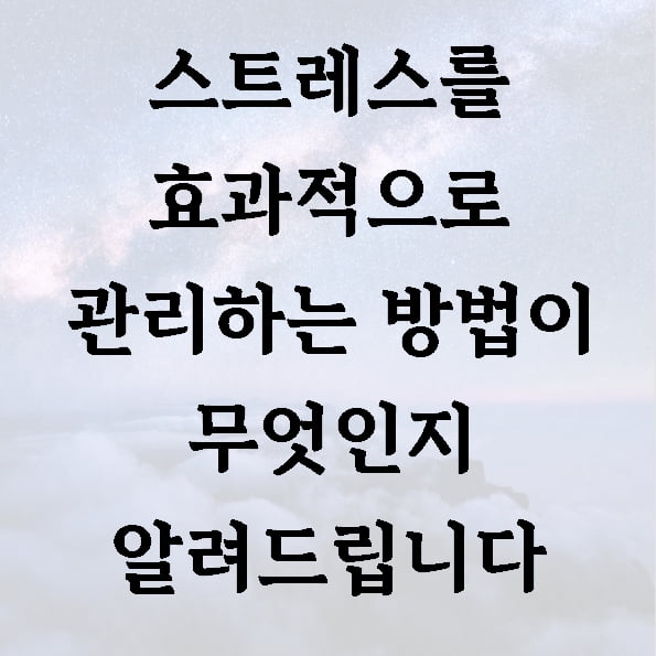 스트레스를 효과적으로 관리하는 방법이 무엇인지 알려드립니다