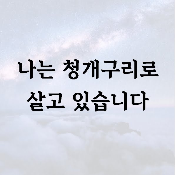 나는 청개구리로 살고 있습니다