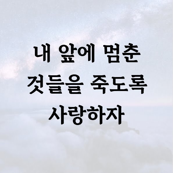 내 앞에 멈춘 것들을 죽도록 사랑하자