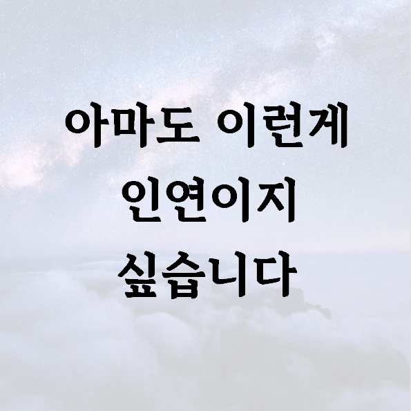 아마도 이런게 인연이지 싶습니다