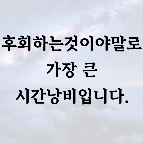 후회하는것이야말로 가장 큰 시간낭비입니다.