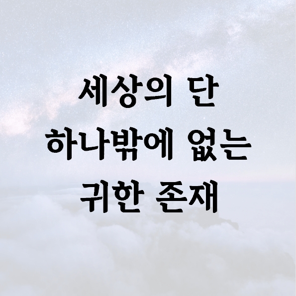 세상의 단 하나밖에 없는 귀한 존재