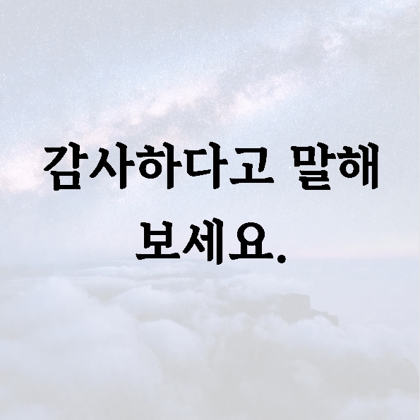 감사하다고 말해 보세요.