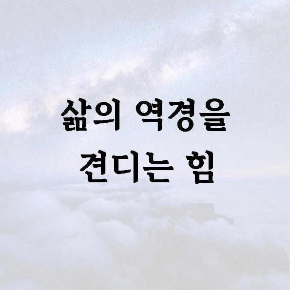 삶의 역경을 견디는 힘