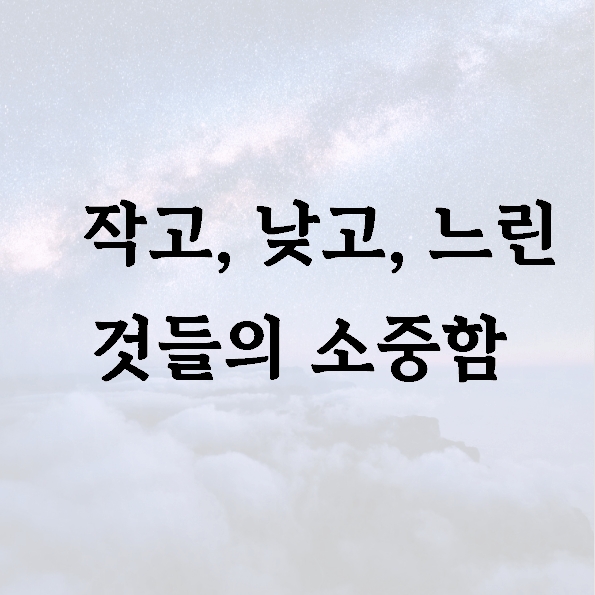 작고, 낮고, 느린 것들의 소중함