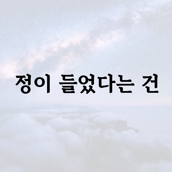 정이 들었다는 건