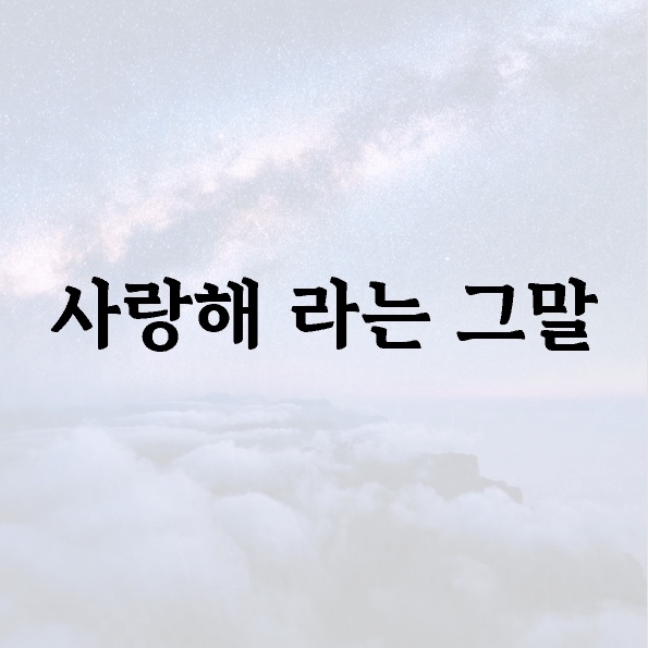 사랑해 라는 그말