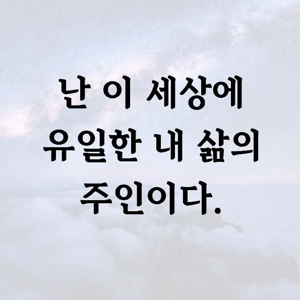 난 이 세상에 유일한 내 삶의 주인이다.