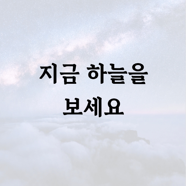 지금 하늘을 보세요