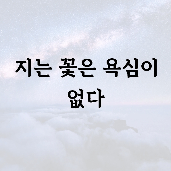 지는 꽃은 욕심이 없다