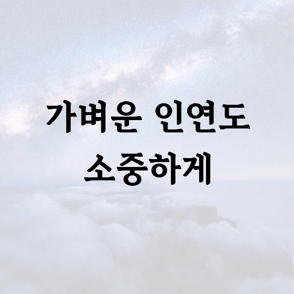 가벼운 인연도 소중하게