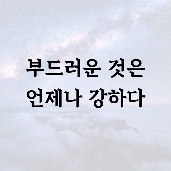 부드러운 것은 언제나 강하다