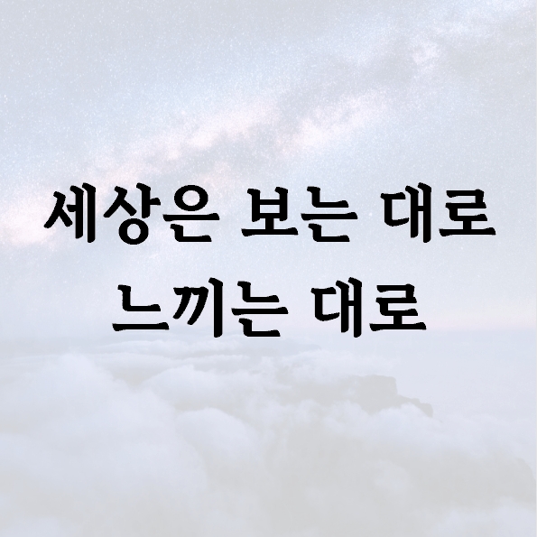 세상은 보는 대로 느끼는 대로
