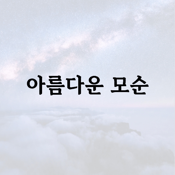 아름다운 모순