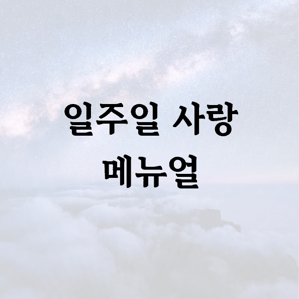 일주일 사랑 메뉴얼