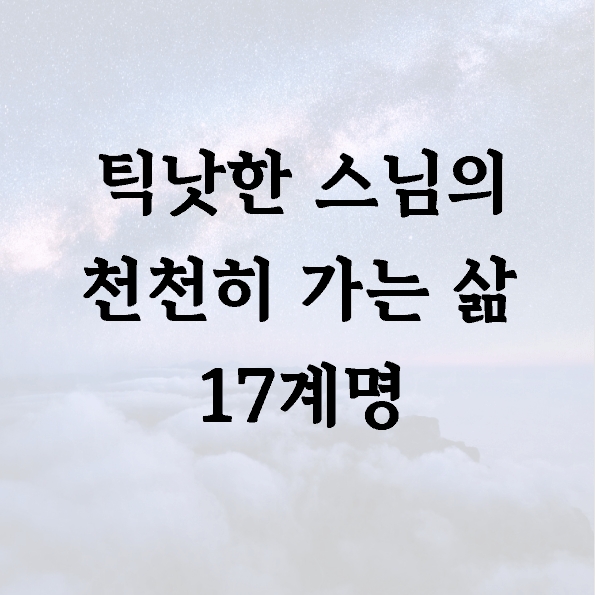 틱낫한 스님의 천천히 가는 삶 17계명