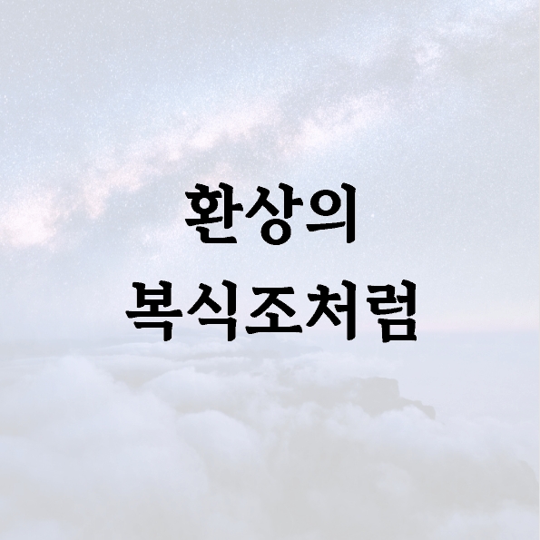 환상의 복식조처럼