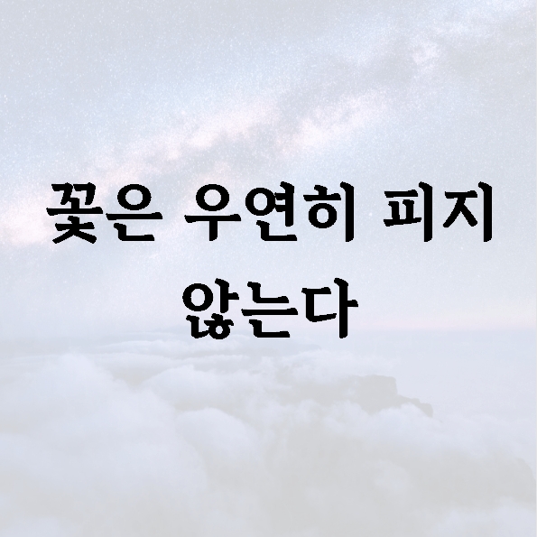 꽃은 우연히 피지 않는다