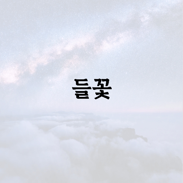 들꽃