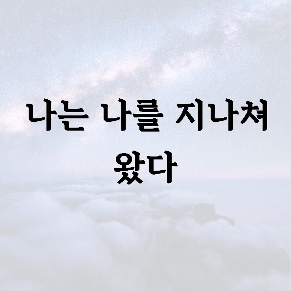 나는 나를 지나쳐 왔다