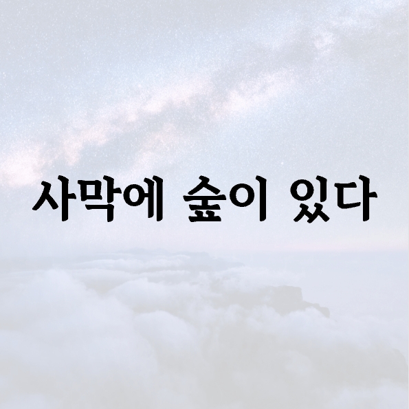 사막에 숲이 있다
