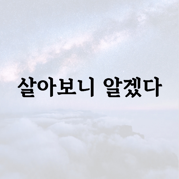 살아보니 알겠다