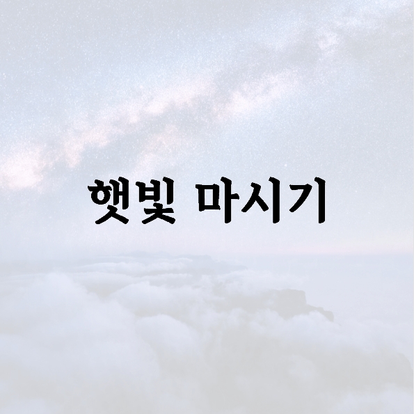 햇빛 마시기