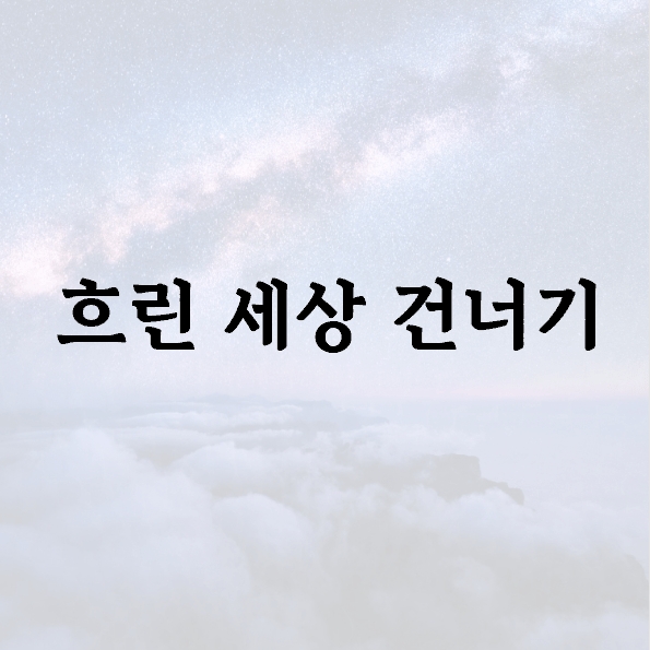흐린 세상 건너기