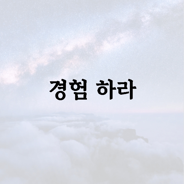 경험 하라