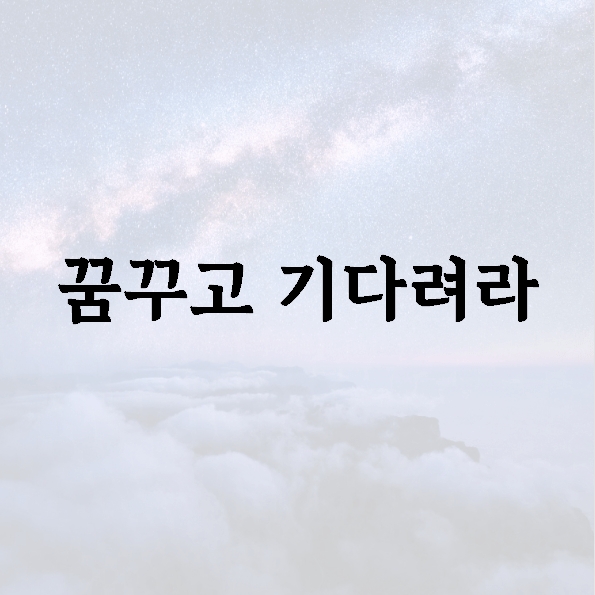 꿈꾸고 기다려라
