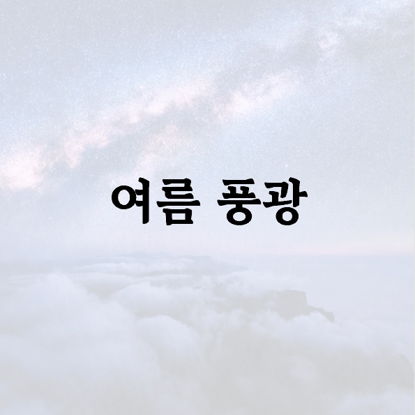 여름 풍광