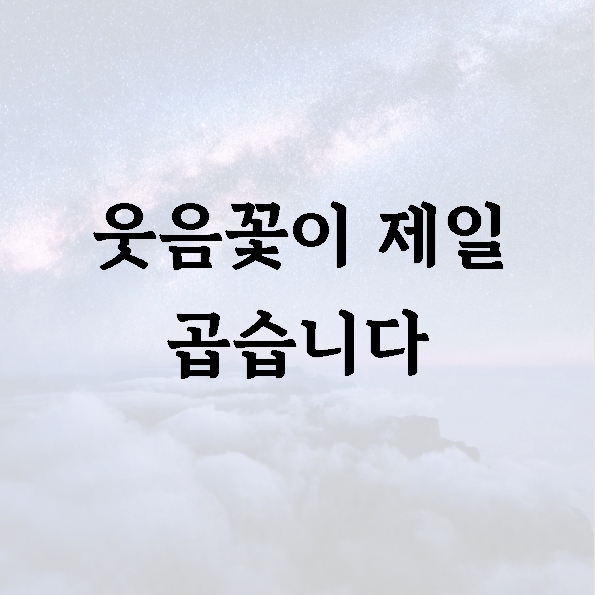웃음꽃이 제일 곱습니다