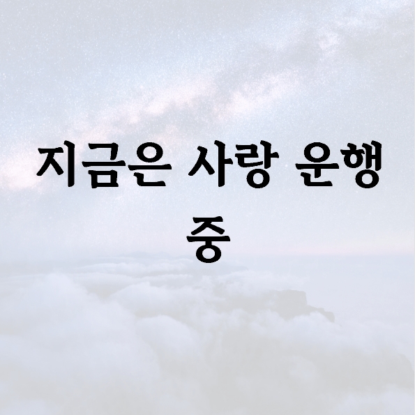 지금은 사랑 운행 중