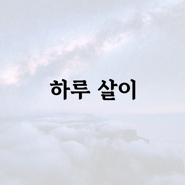 하루 살이