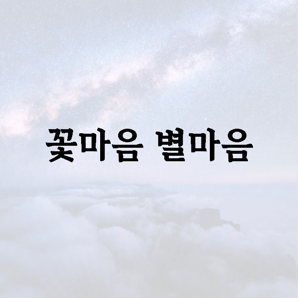 꽃마음 별마음