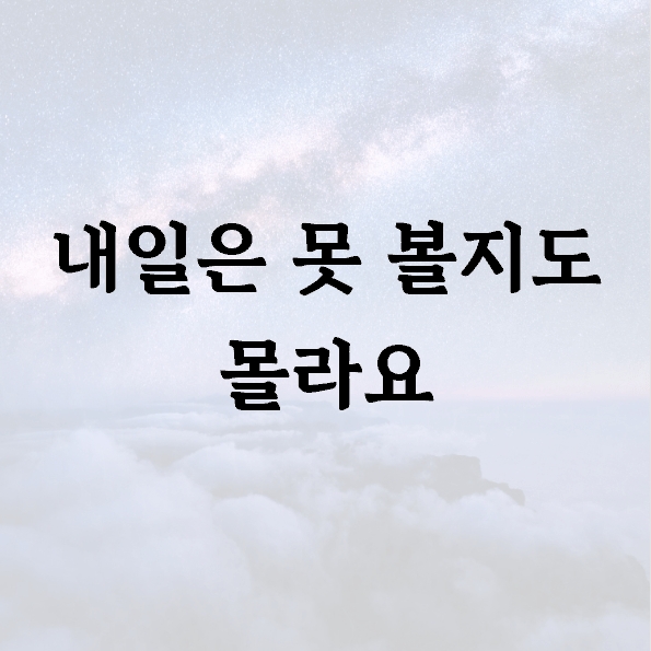 내일은 못 볼지도 몰라요