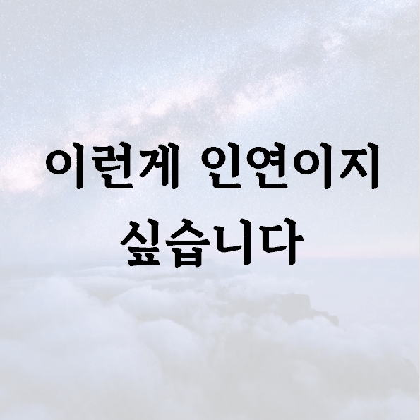 이런게 인연이지 싶습니다