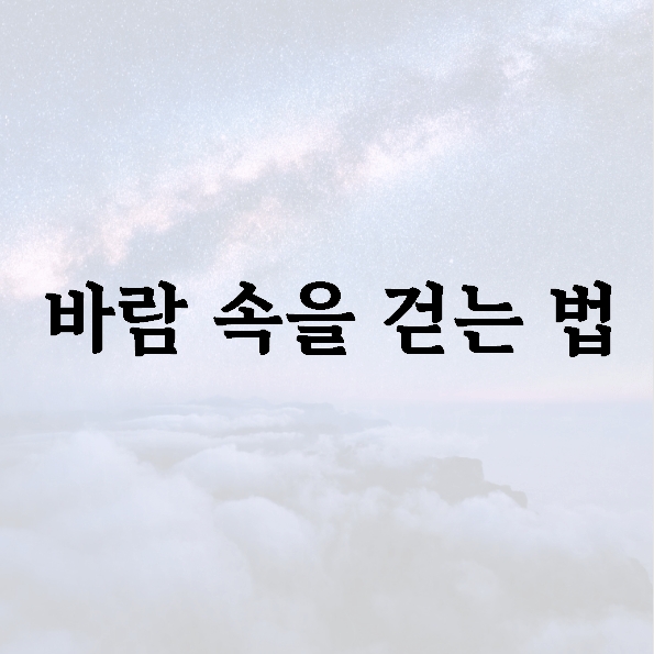 바람 속을 걷는 법