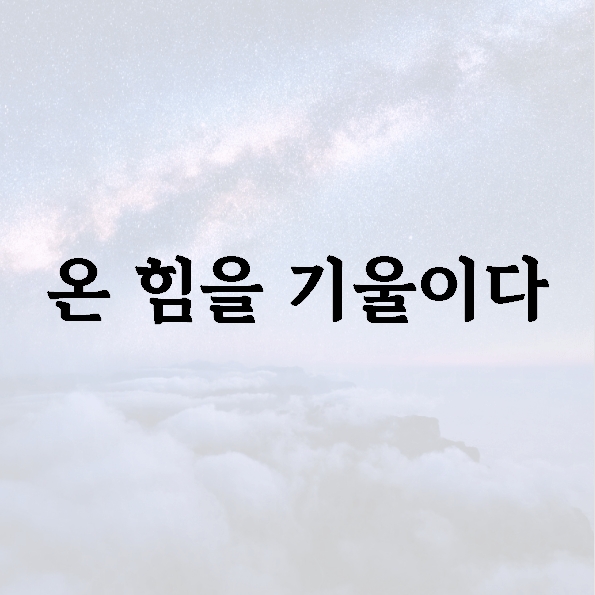 온 힘을 기울이다